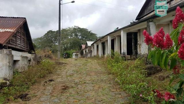 Ubaitaba. Fazenda de 450 Hectares, produção de cacau e gado, completa infraestrutura. - Foto 12
