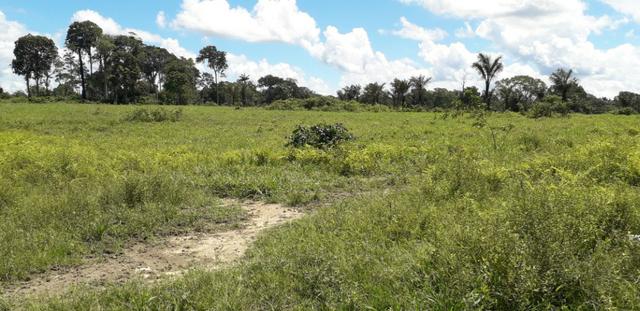 Fazenda em Roraima top - Foto 4