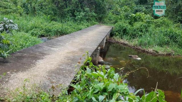 Ubaitaba. Fazenda de 450 Hectares, produção de cacau e gado, completa infraestrutura. - Foto 17