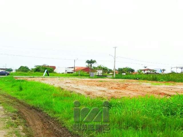 TERRENO COMERCIAL - Foto 2
