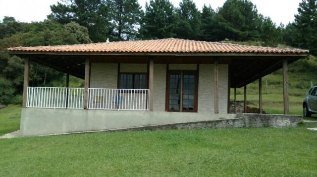 Fazenda para venda em balsa nova, são luiz do puruna 800 m do pedagio, 2 dormitórios, 2 ba - Foto 8