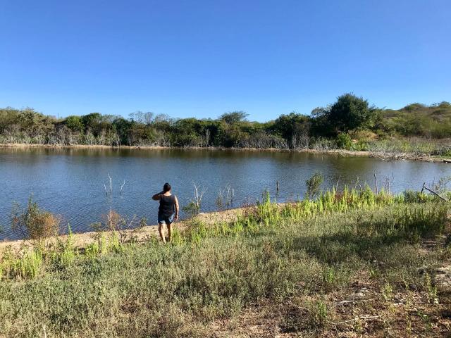 Sitio a venda em Quixadá - Foto 11