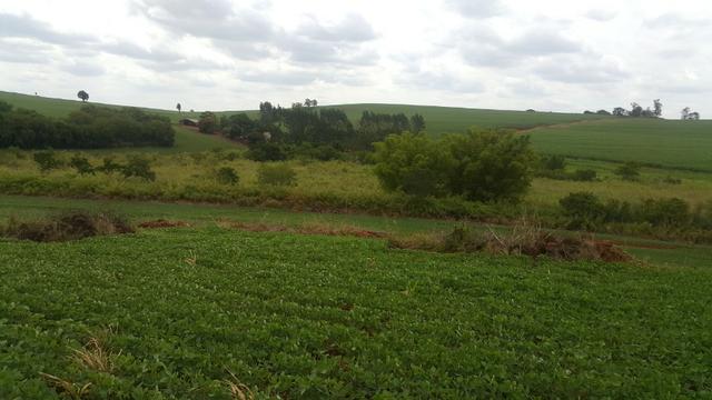 Terra rocha boa p/plantios agricola e criame de peixe etc - Foto 10