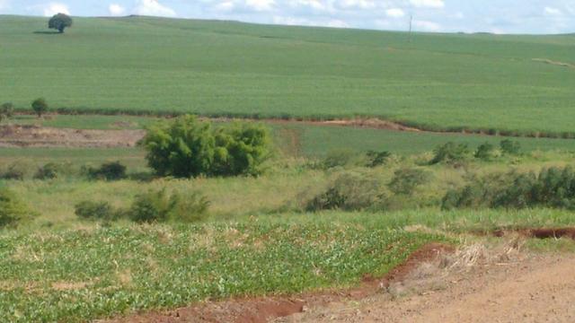 Terra rocha boa p/plantios agricola e criame de peixe etc - Foto 5