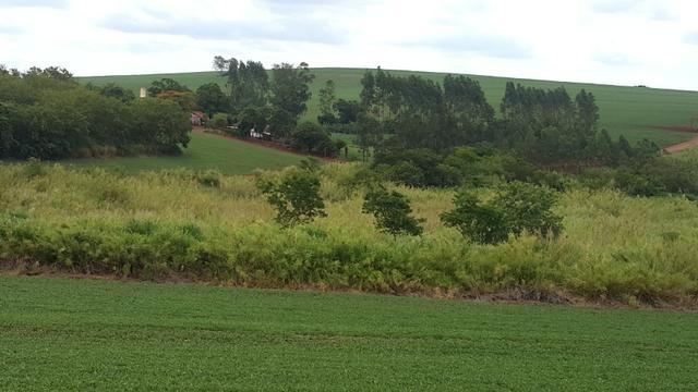 Terra rocha boa p/plantios agricola e criame de peixe etc - Foto 3