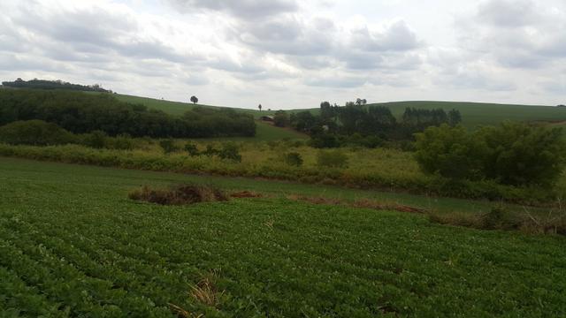 Terra rocha boa p/plantios agricola e criame de peixe etc - Foto 9