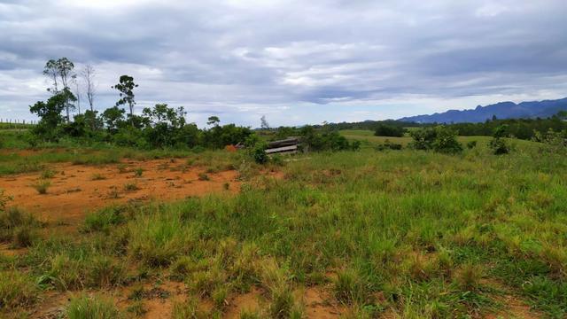 Chácara, Sítio, Terrenos em Itapeúna / Ancheita-ES - Foto 4