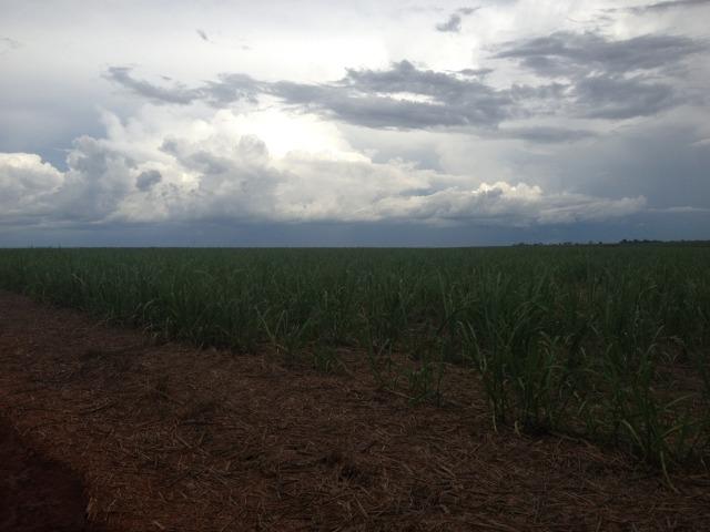 Fazenda 3.533 há - Foto 15