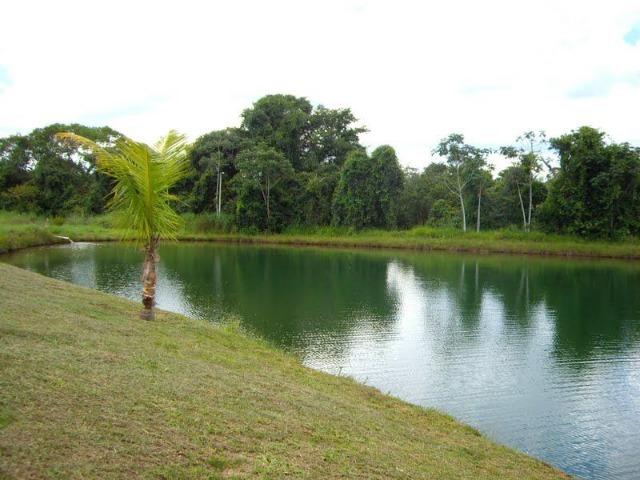 Fazenda de 12,68 alqueires maravilhosa em bela vista de goias - Foto 11