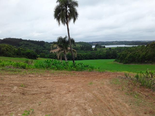 T-AR0032- Área à venda, 852.244 m² por R$ 35.500.000 - PR 423 - Campo Largo/PR - Foto 2