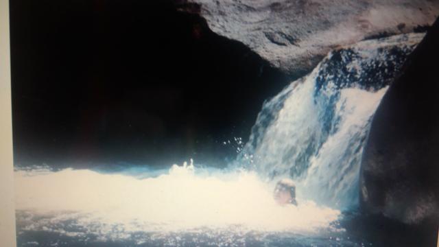 Excelente Sítio em Morretes venda - Foto 2