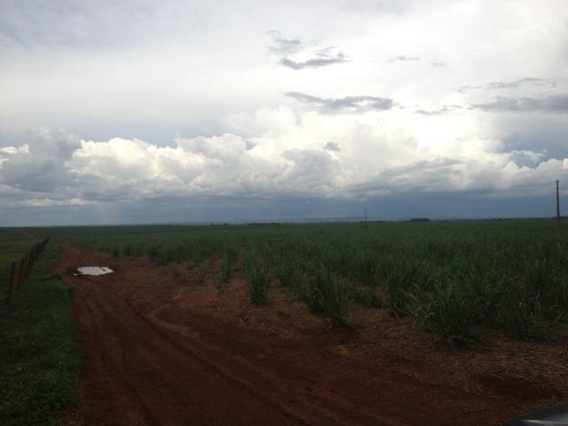 Fazenda 3.533 há - Foto 10