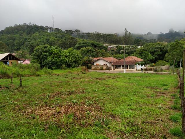Vendo Terreno - Foto 5
