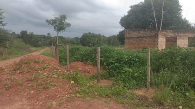 4,42 hectares em Benevides por 250 mil reais porteira fechada - Foto 10