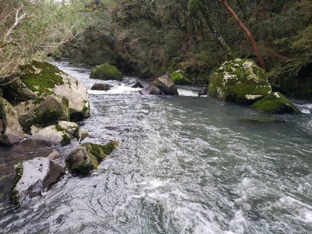 Sitio em Urupema/ sitio próximo de Urubici - Foto 10