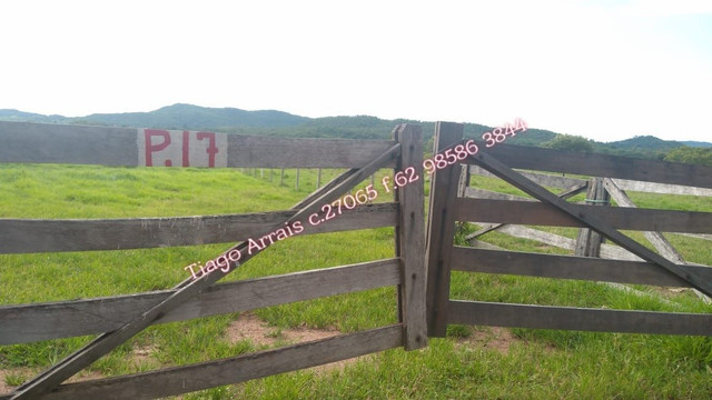 Fazenda 175 alq Mozarlândia - Foto 3