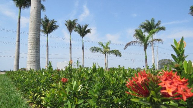 Loteamento, invista bem ! Lotes perto do Centro de Linhares ! - Foto 3