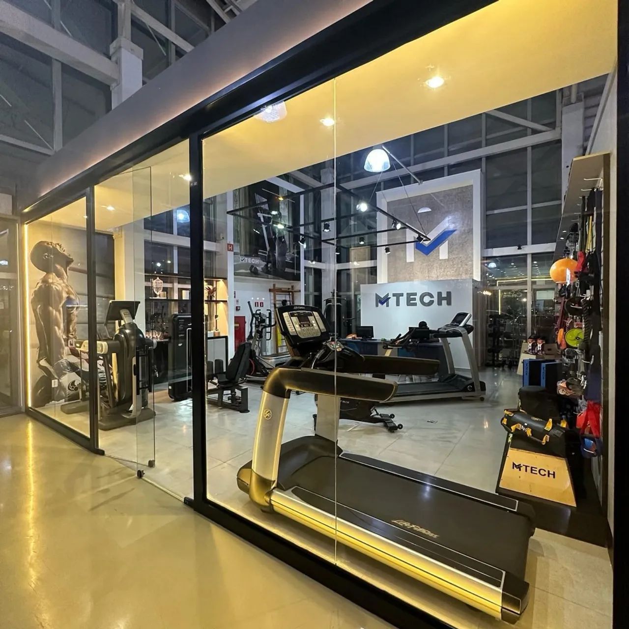 Esteira esteiras ergométricas elétricas manutenção conserto e vendas Tecnhongym 