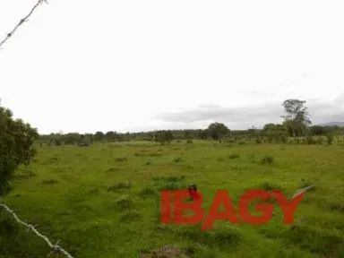 Oportunidade! Terreno em Sambaqui - Florianópolis - Foto 4