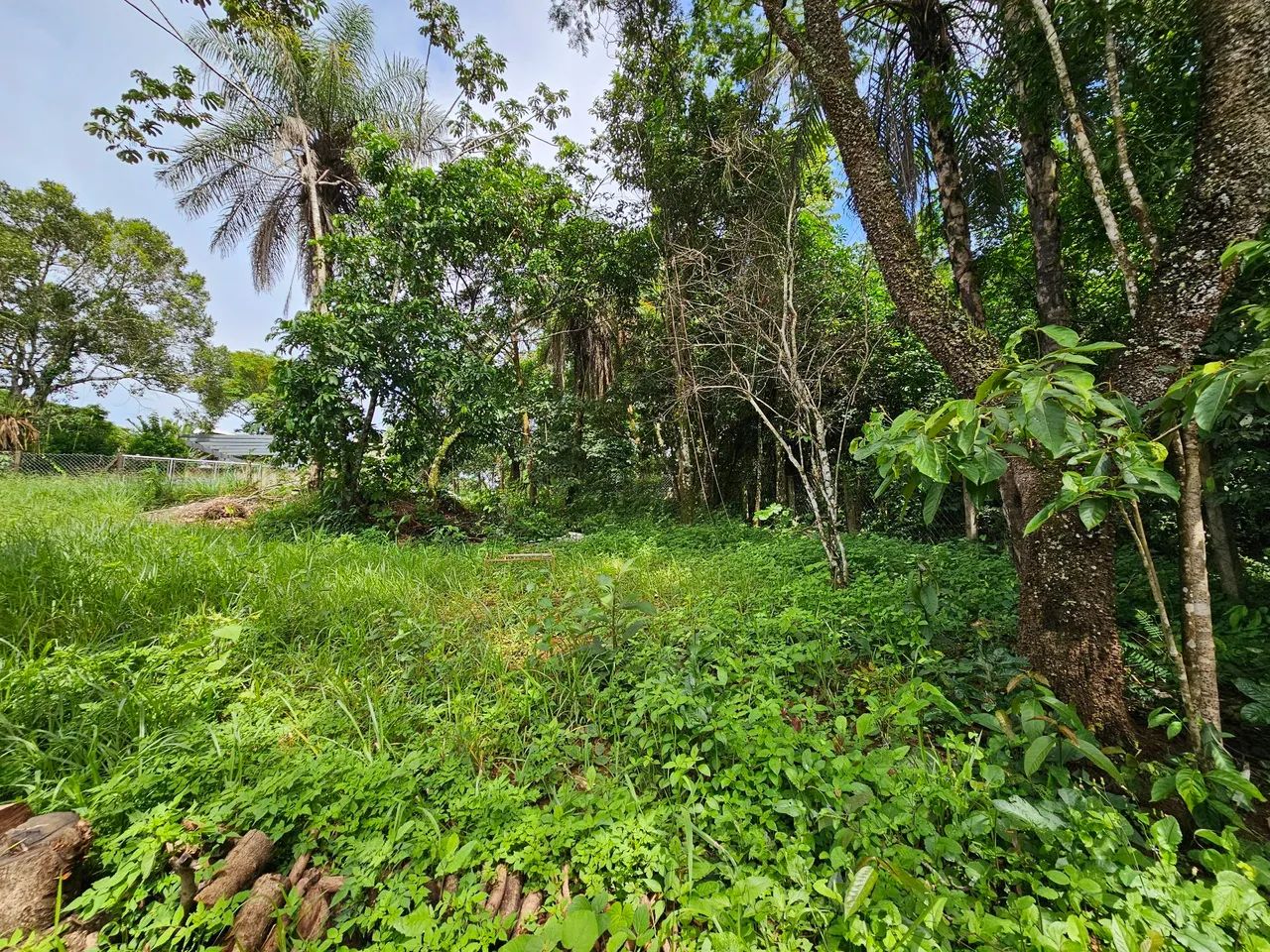 Terreno com acesso exclusivo a cachoeira no centro de Chapada dos Guimarães! - Foto 4