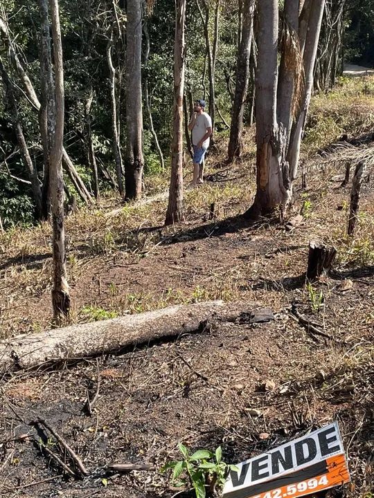 foto - Mairiporã - Canjica (Terra Preta)