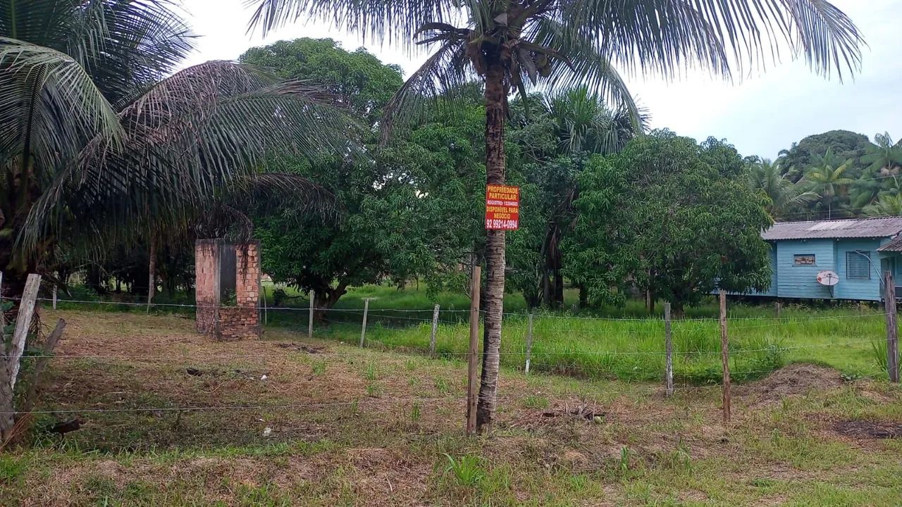 foto - Manaus - Área Rural de Manaus