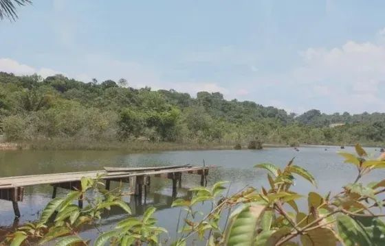 REPASSO LOTE EM Condomínio Fechado - Chácaras da Fazenda 1 - am-070 - km19 - Foto 3