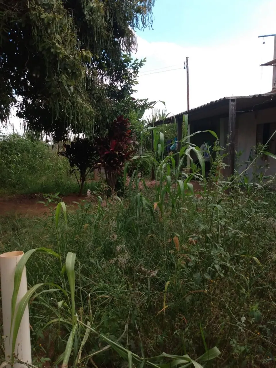 Vende imóvel em parque napolis A.