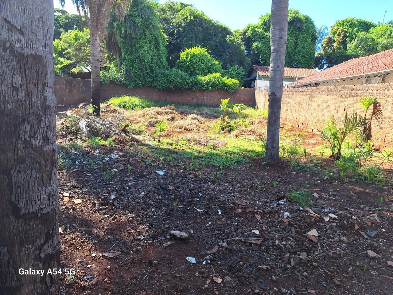 Vendo um terreno no B: Monte Castelo