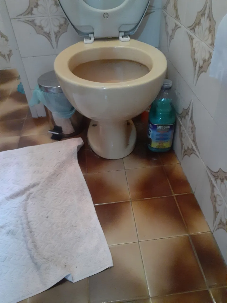 Vaso sanitário bege