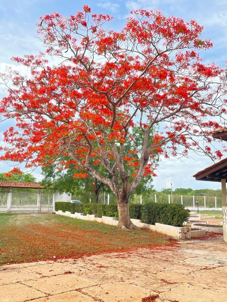 Chacara Locação Eventos Evangelicos 