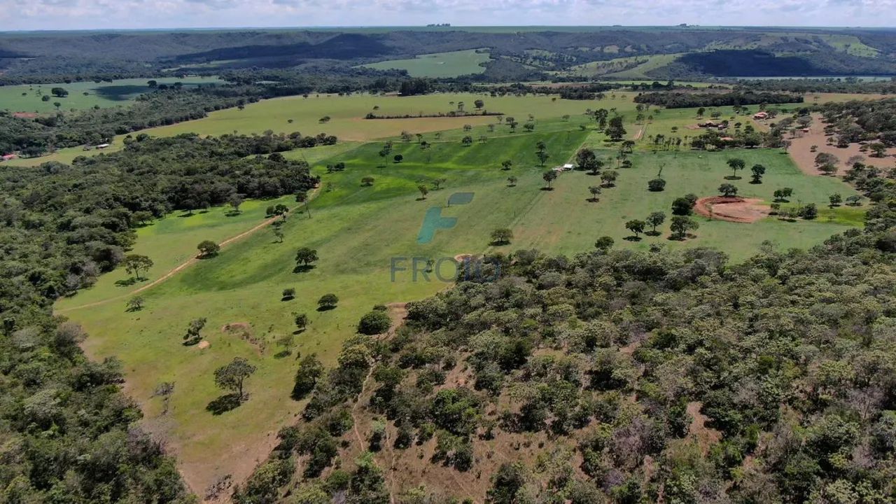 Sítio à Venda entre Bela Vista e São Miguel do Passa Quatro  GO - Foto 2