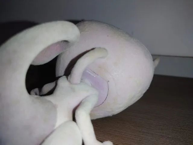 Funko Pop! Mewtwo #581 (Flocked) [loose] - Foto 5