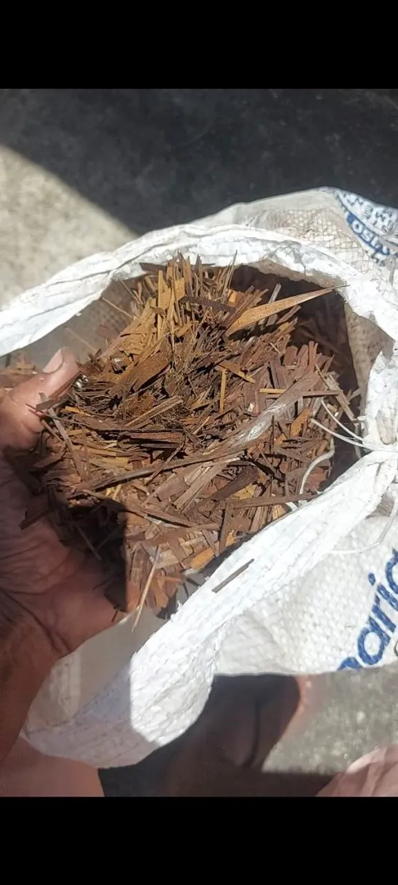 Vendo bagana..