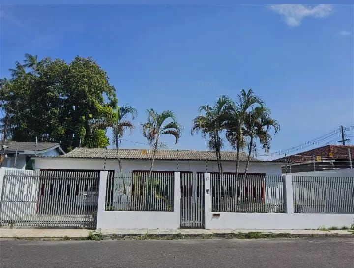 Foto - Manaus - Coroado