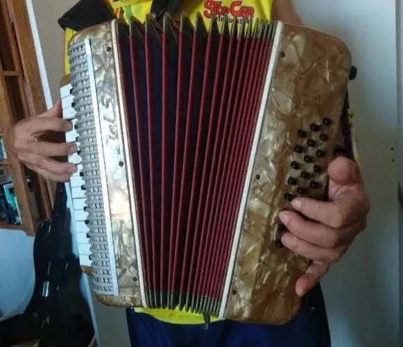 Acordeon em ótimo estado