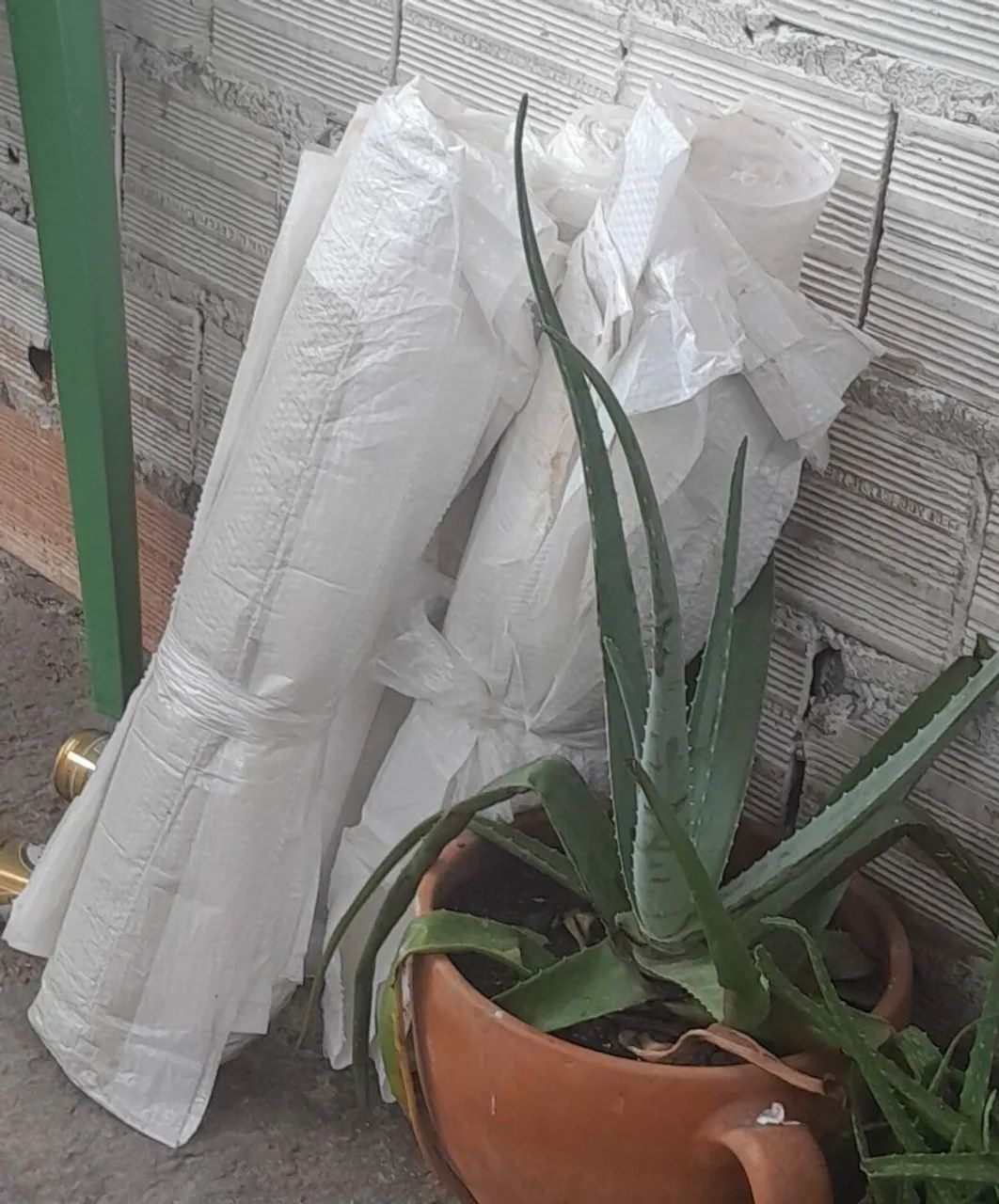 Sacas de trigo vazias.64960474911363120