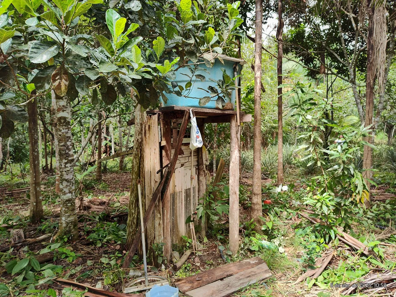 Chácara tamanho 100x300 tem água luz muita fruta ramal traíra depois da ponte do rio mad