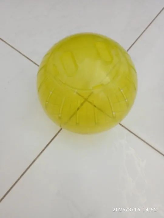 Bola porquinho ramster etc nunca usada  - Foto 2