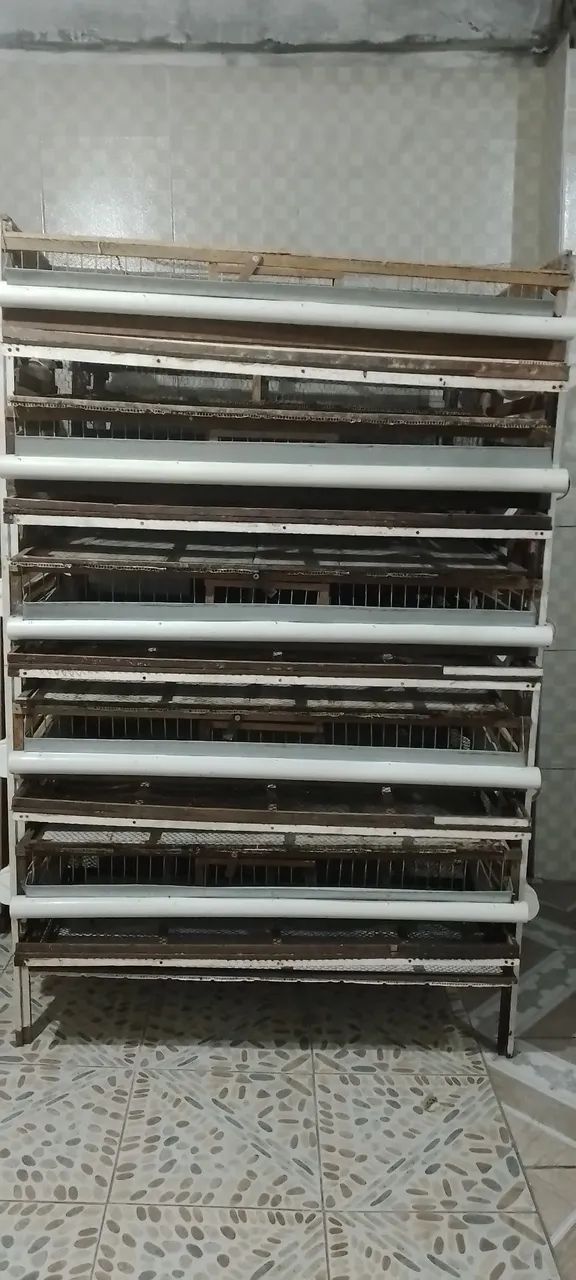 Gaiola para codorna64584931815298120