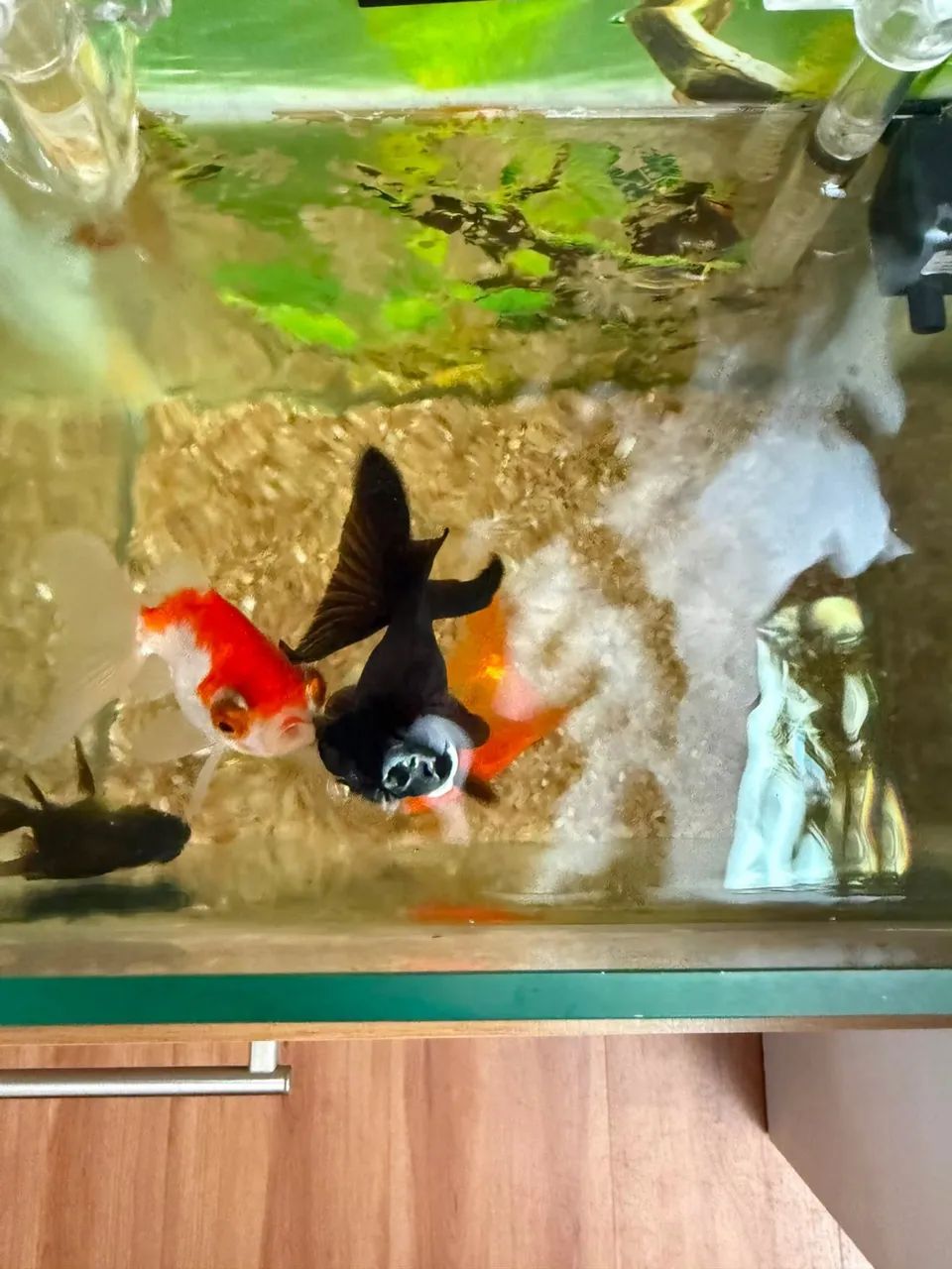 Vendo aquário de 25 litros novo ! Completo! 