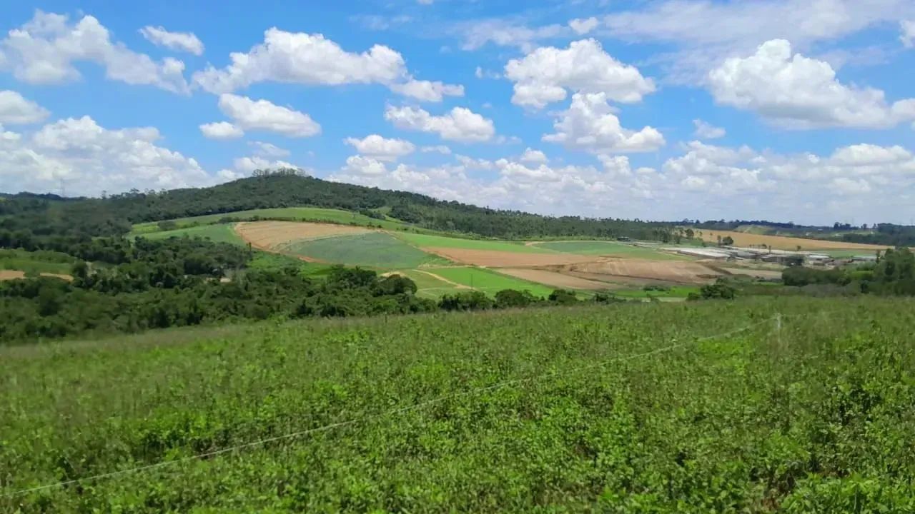 Lotes em Cotia com Financiamento Direto