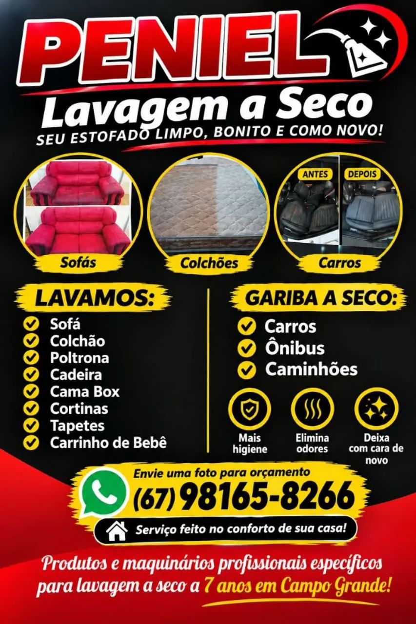 Lavagem a seco