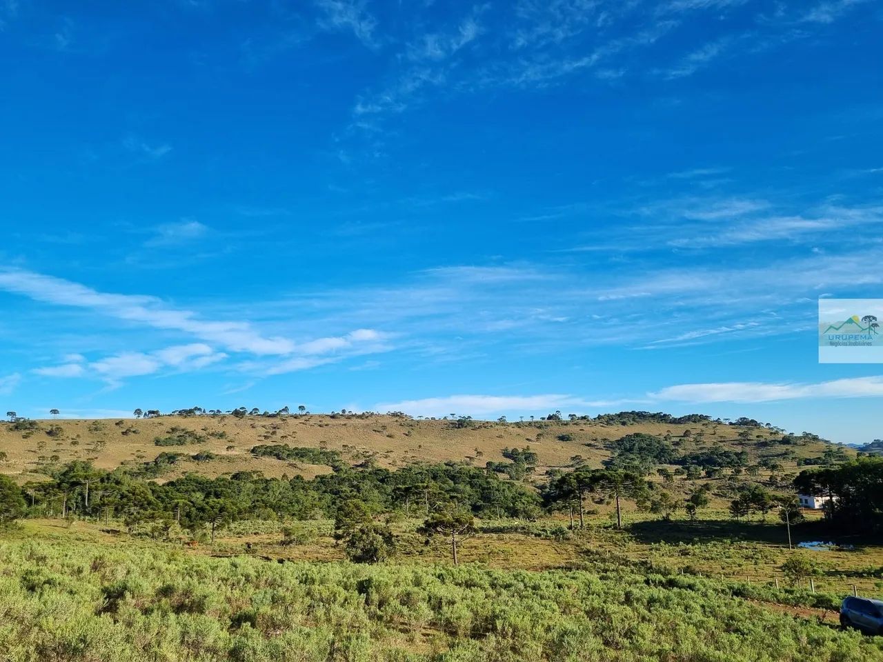 Área  à venda em Urupema/SC - Foto 2