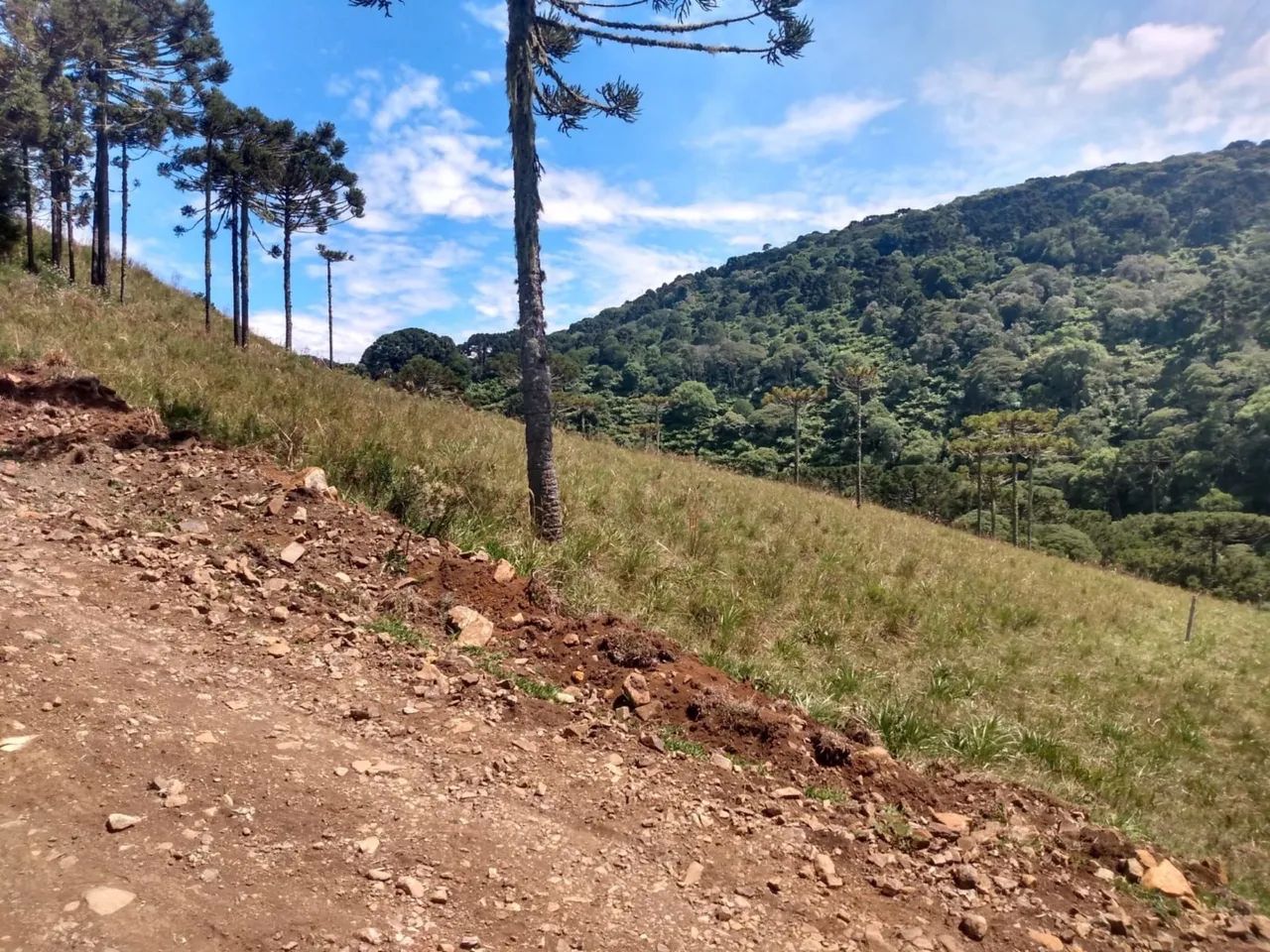 Terreno próximo a Serra do Rio do Rastro - Foto 5
