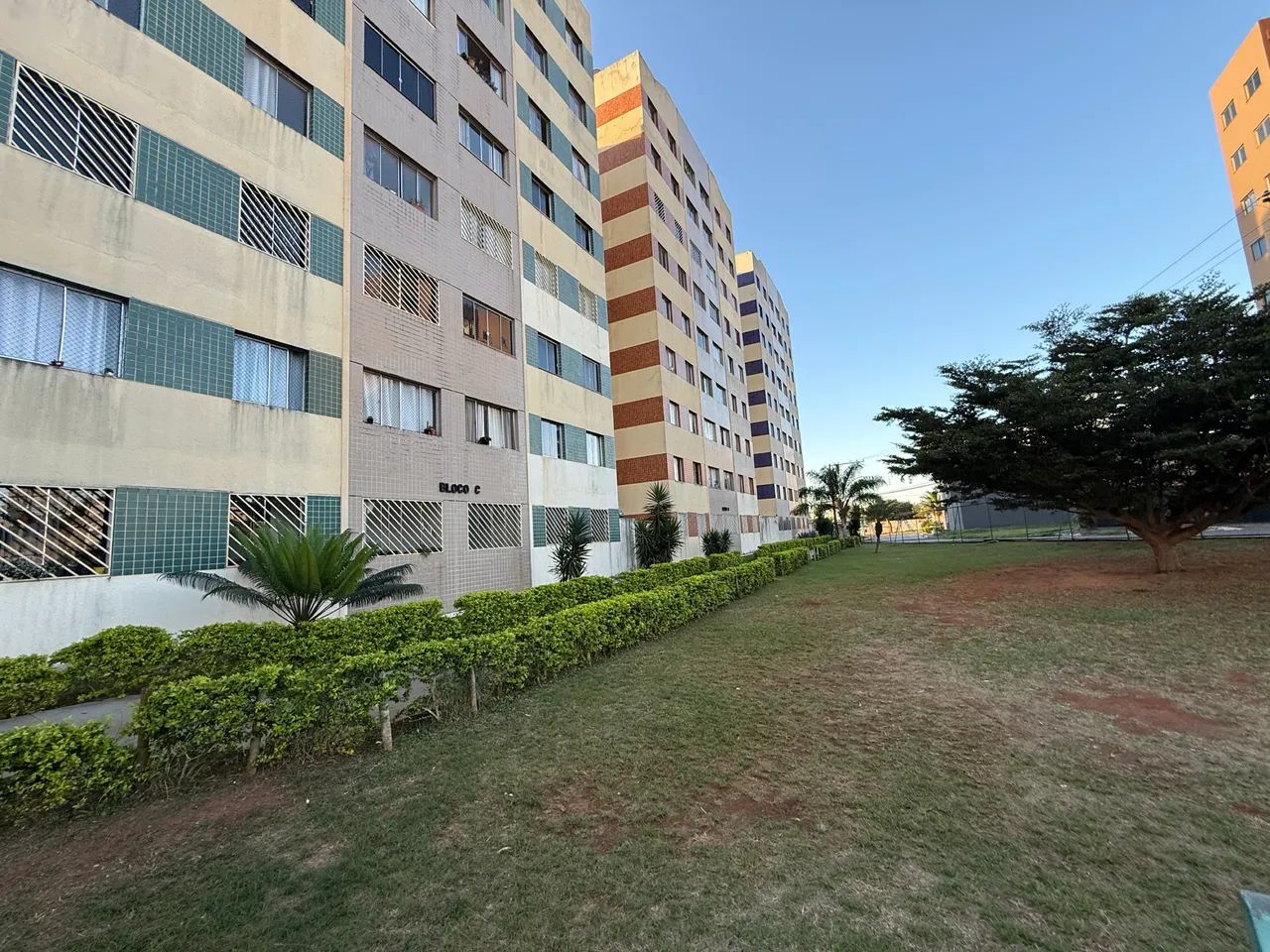 Samambaia 2 quartos Reformado! - Foto 4