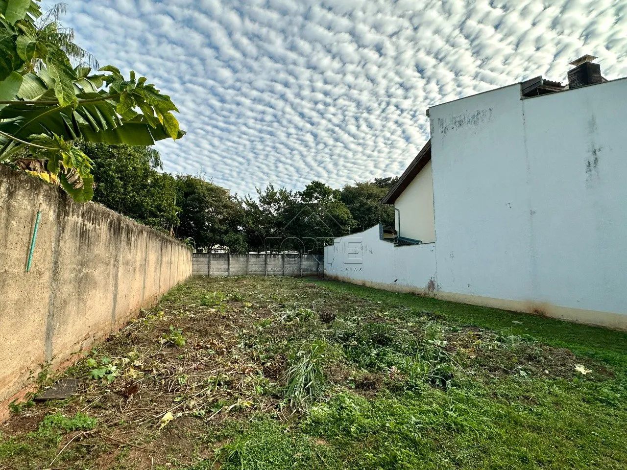 Jardim Vila Verde, terreno com 366m², plano - Foto 2