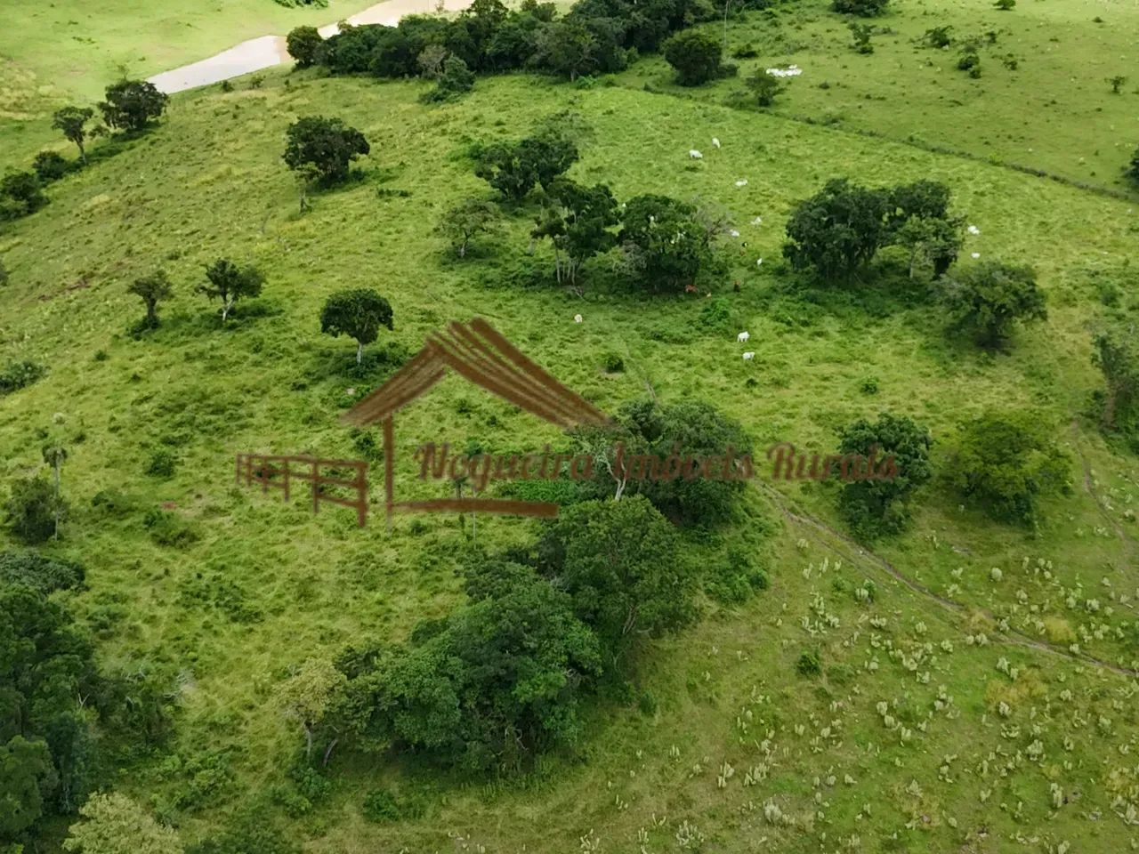 Sitio com 12 alqueires em Porangaba-SP - Foto 4