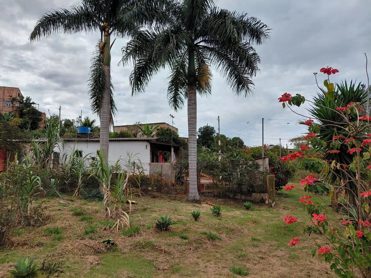Vendo Lindo Sítio Mobiliado em Itabira MG. - Foto 4