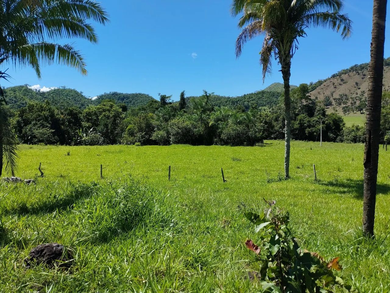 FAZENDA CHAPADA DOS VEADEIROS - Foto 2